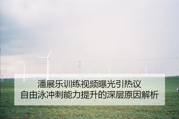 潘展乐训练视频曝光引热议 自由泳冲刺能力提升的深层原因解析